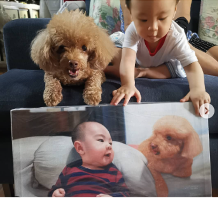 Oil Painting Pet & Human Portraits