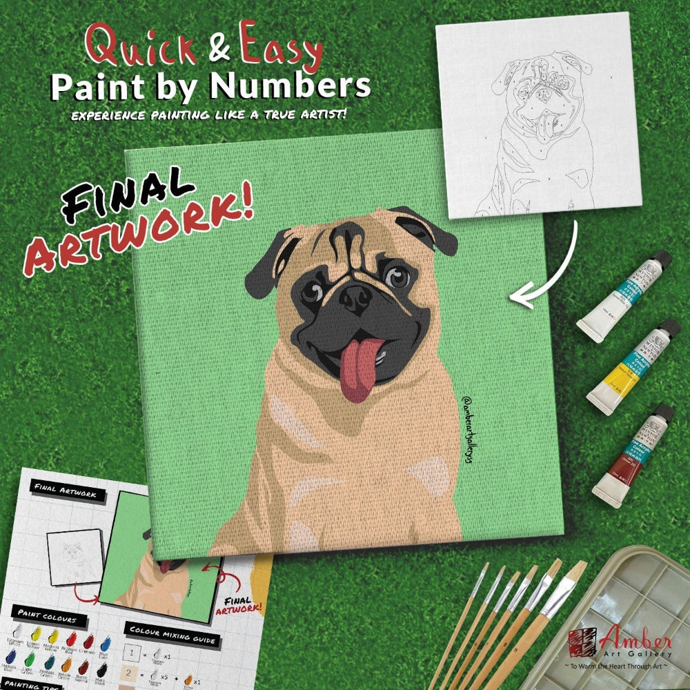 paint-by-numbers-painting-kit-dog-pug