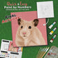 paint-by-numbers-painting-kit-hamster