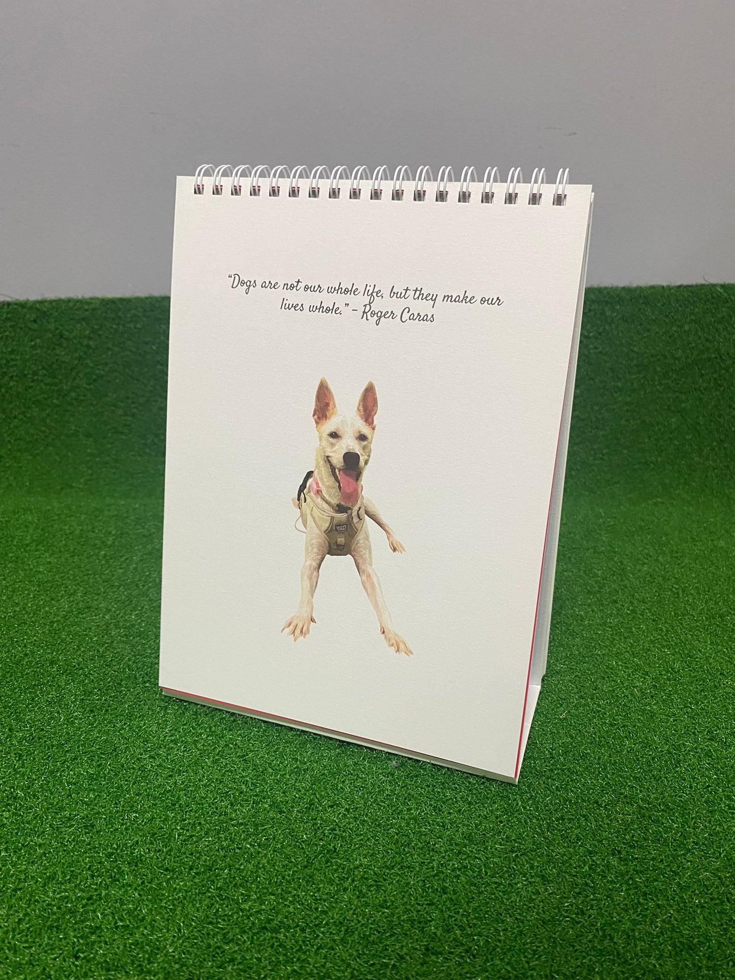 Purely Adoptions 2025 Calendar