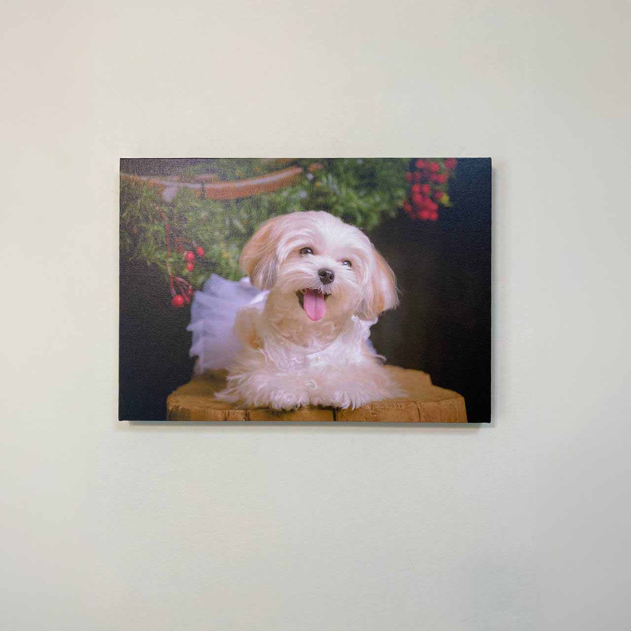 Custom Photo Canvas Print (Curbside)