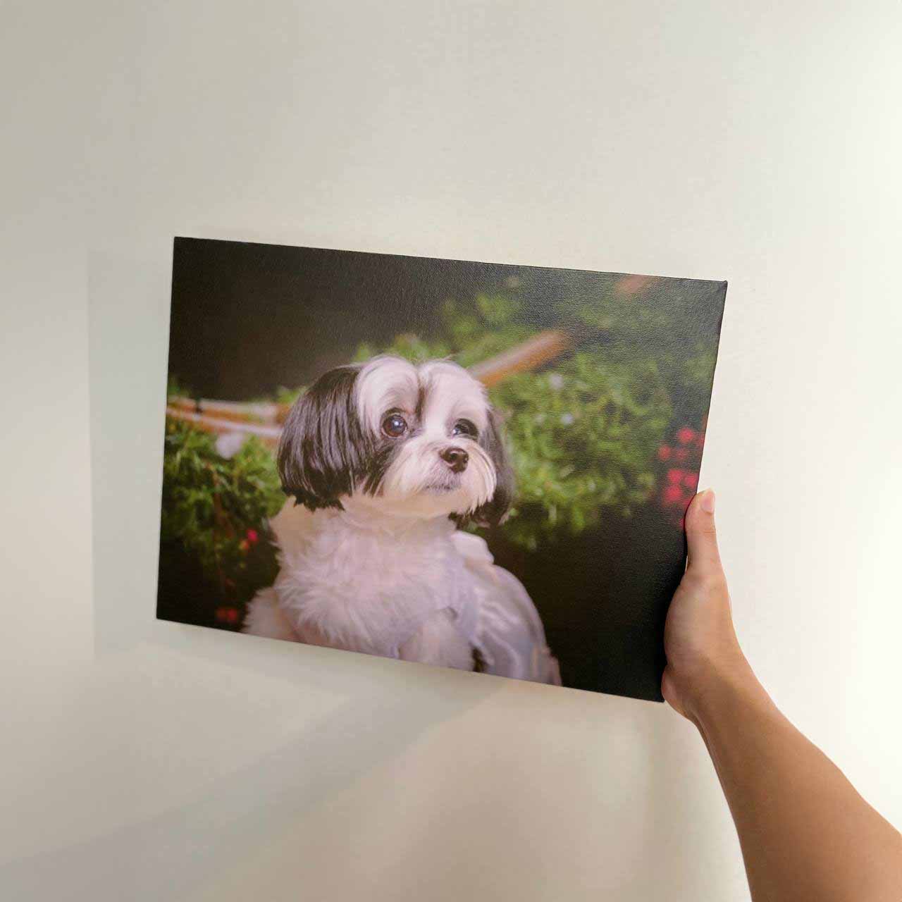 Custom Photo Canvas Print (Curbside)