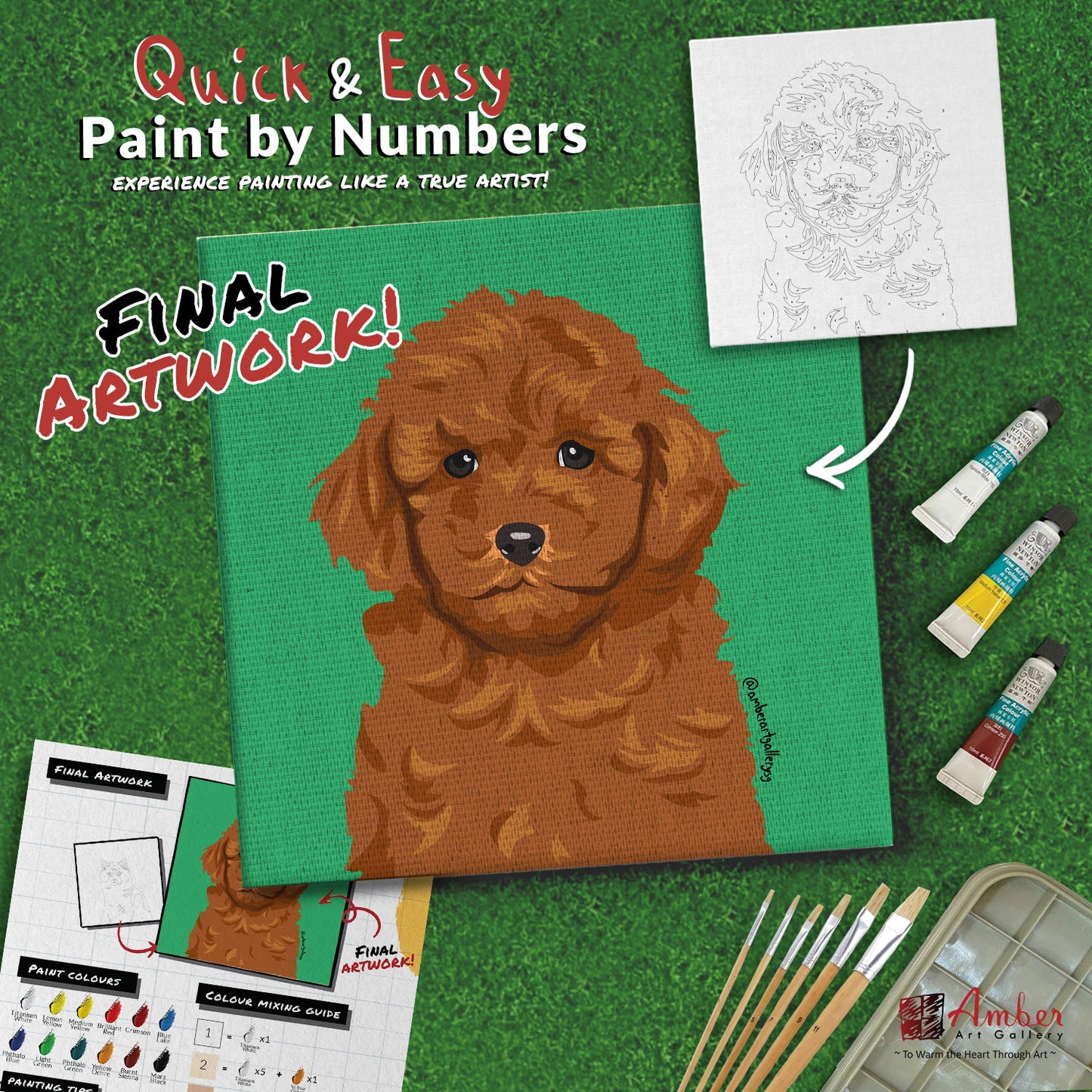 paint-by-numbers-painting-kit-dog-poodle