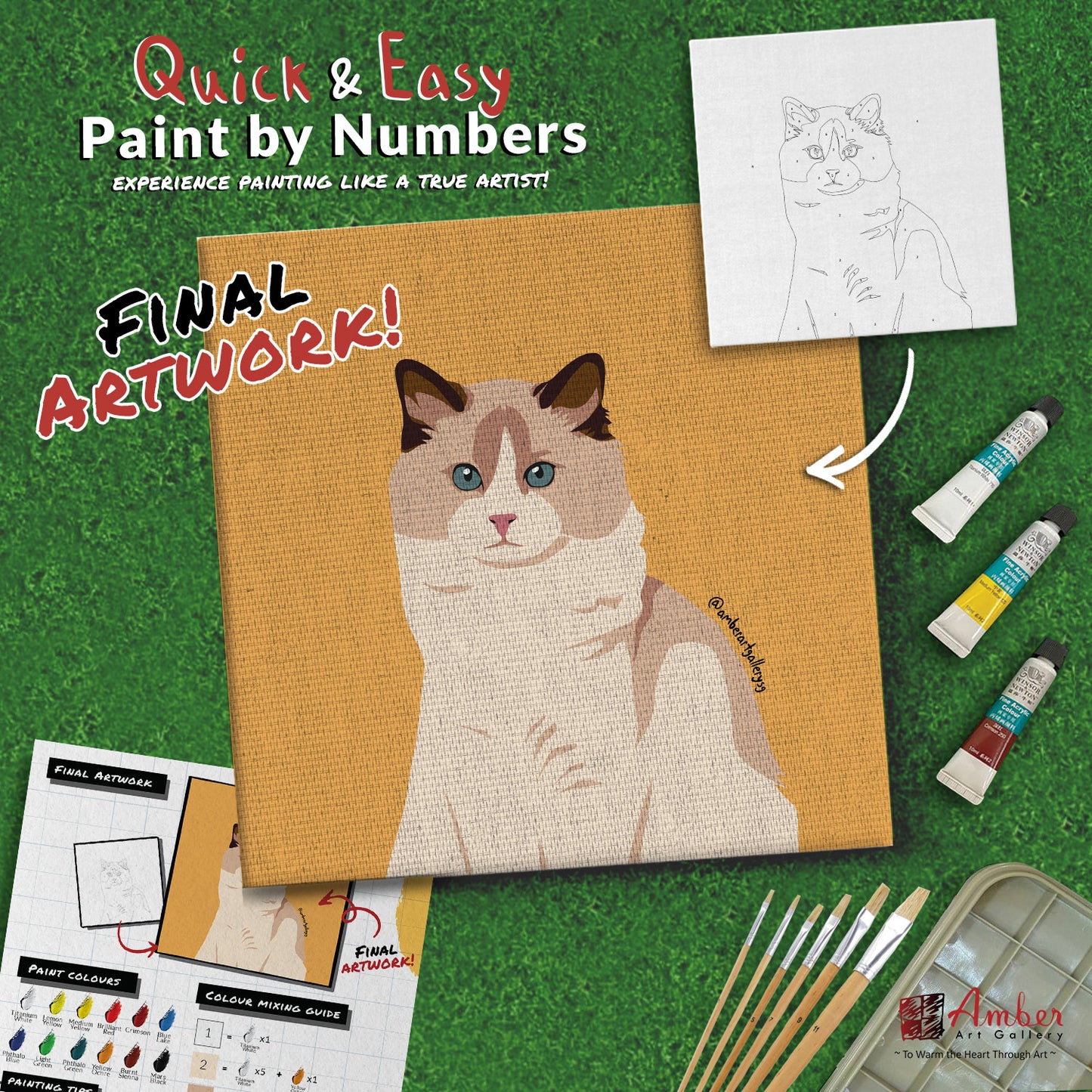 paint-by-numbers-painting-kit-cat-ragdoll