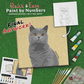 paint-by-numbers-painting-kit-cat-british-shorthair
