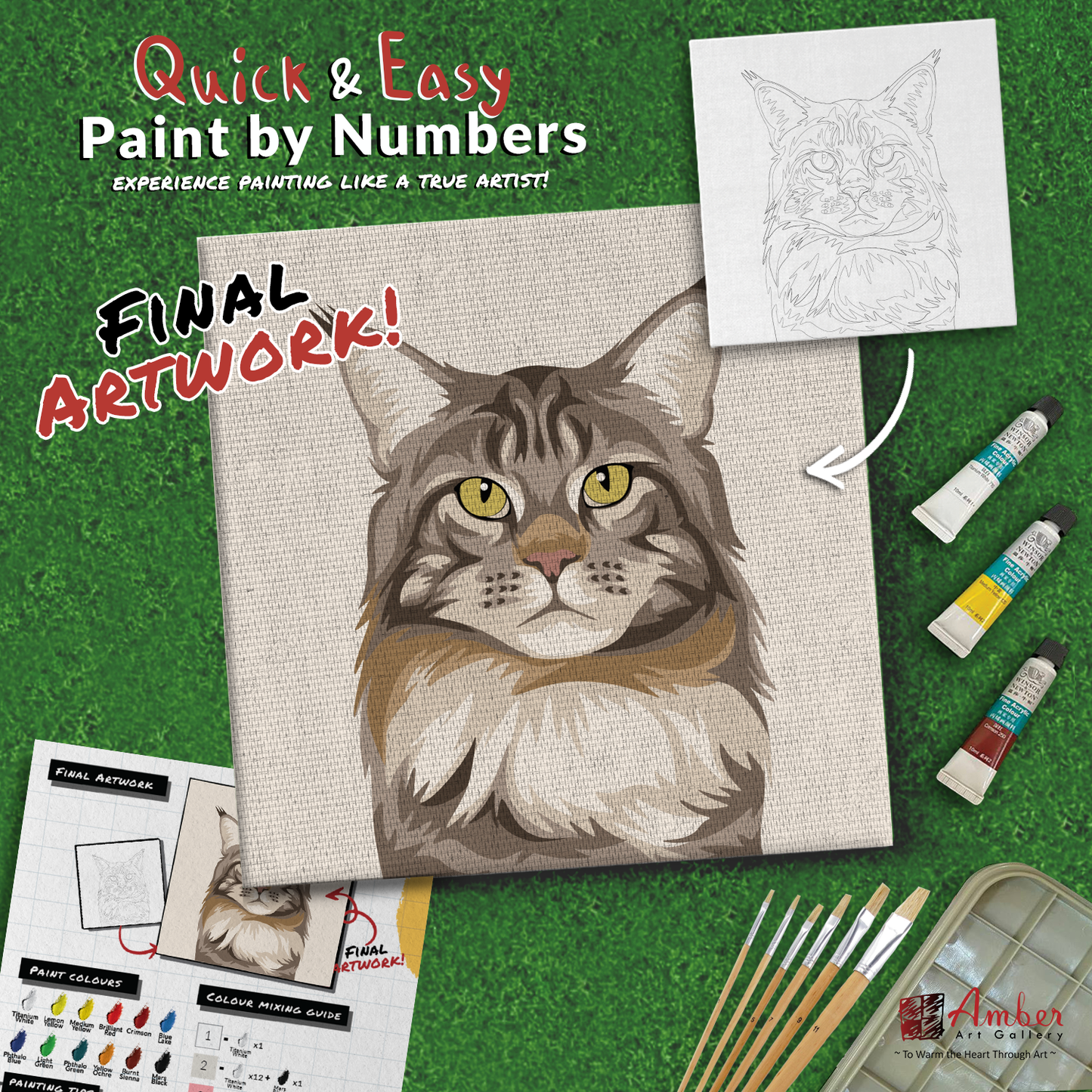 paint-by-numbers-painting-kit-cat-maine-coon
