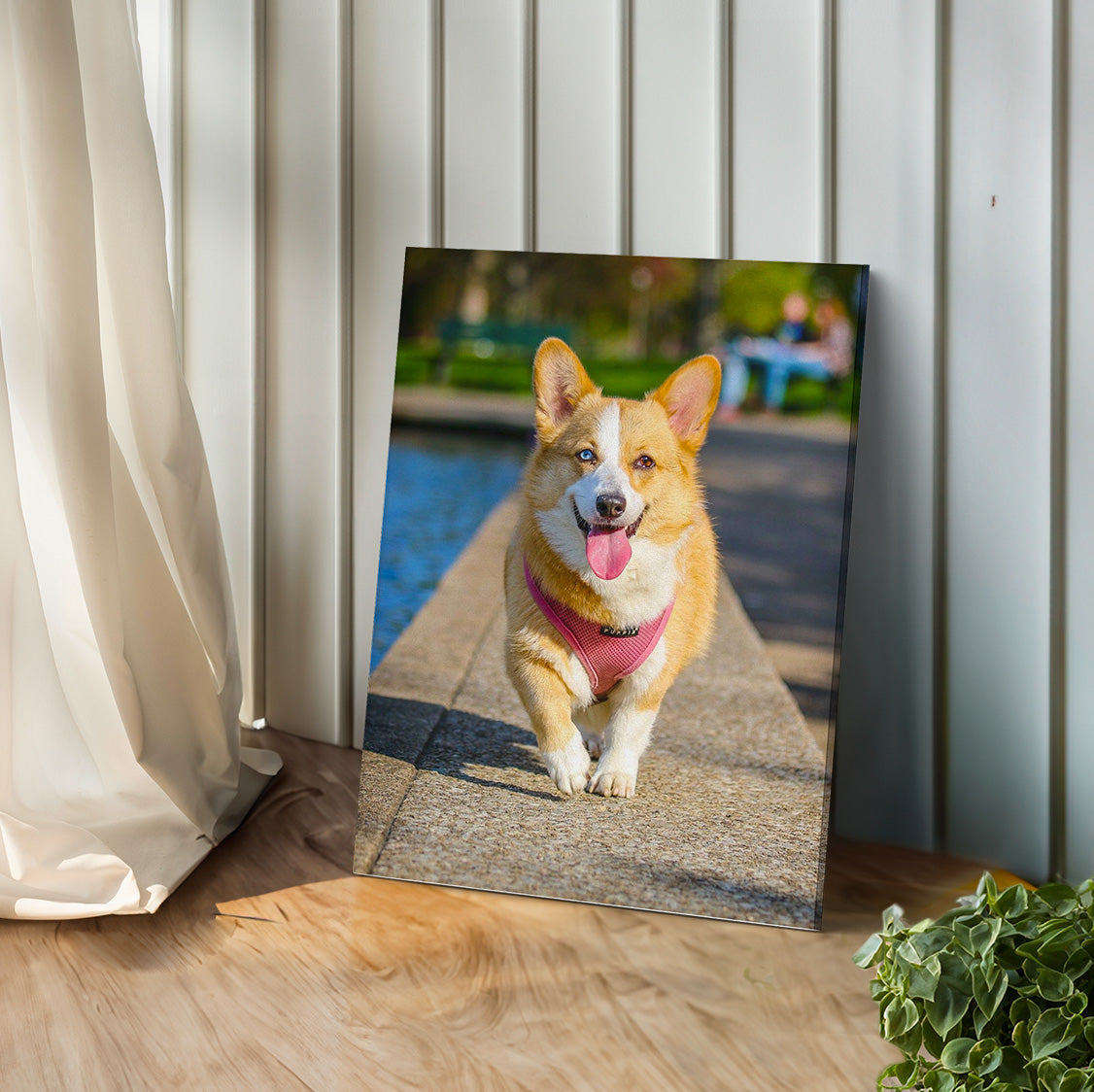 客製化寵物照片畫布列印