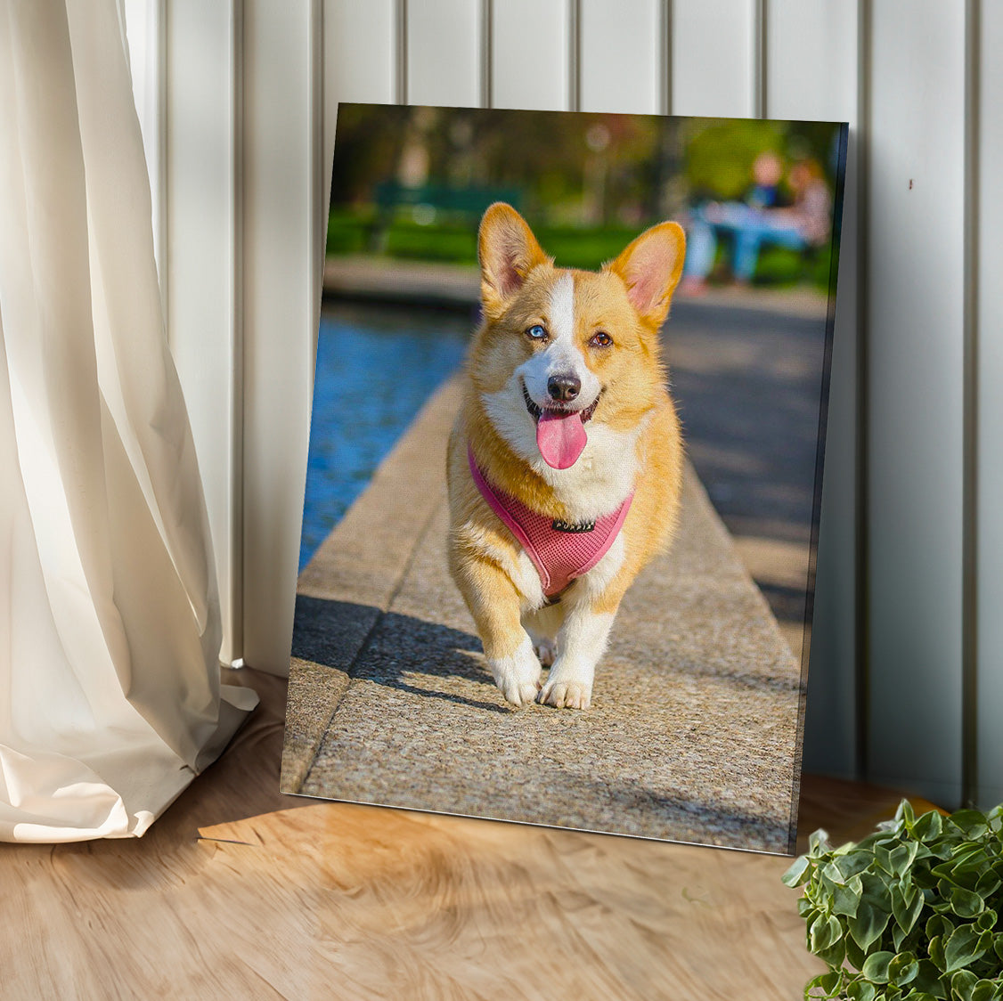 Custom Pet Photo Canvas Print