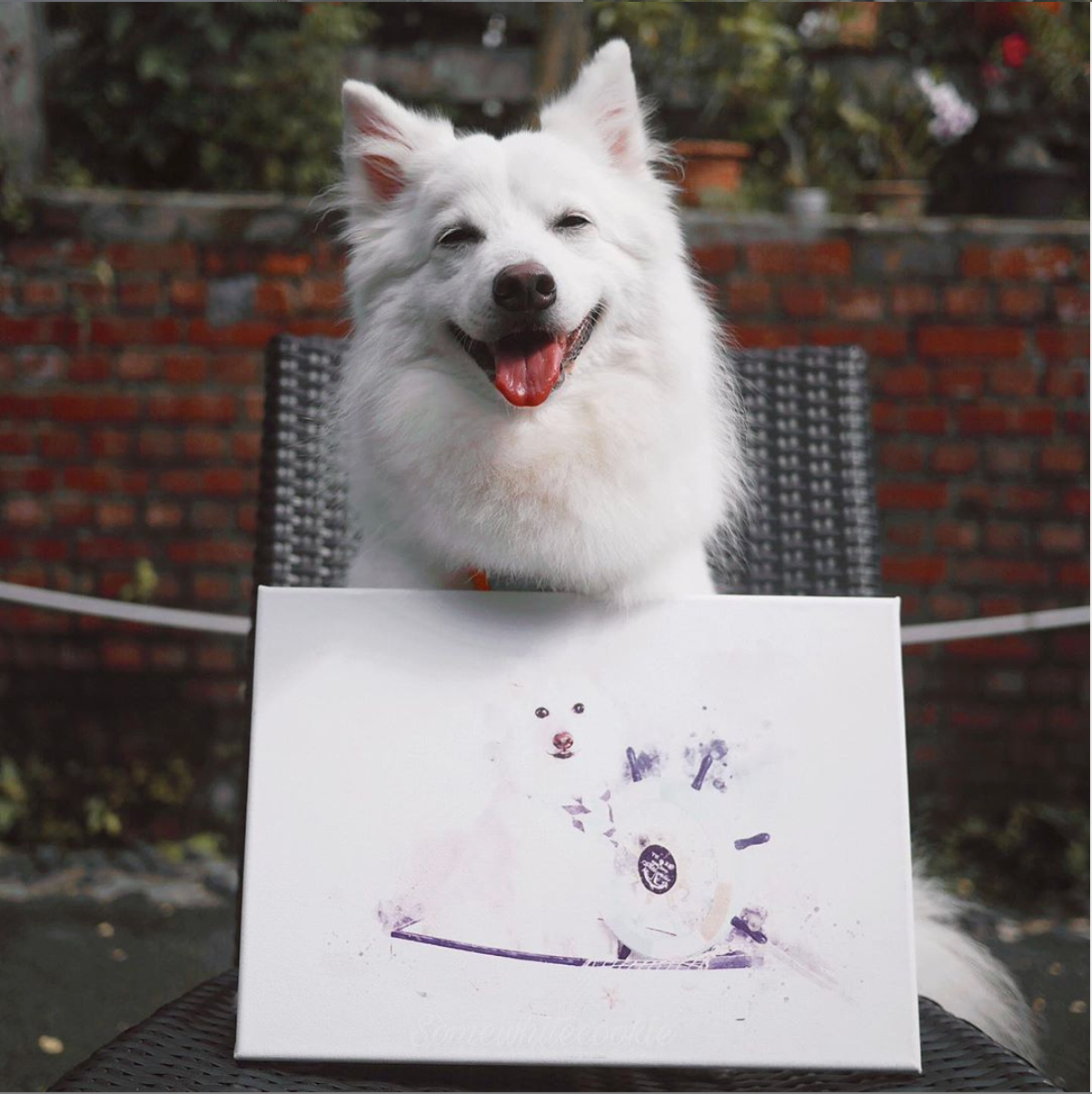 客製數位寵物肖像畫（水彩風格）